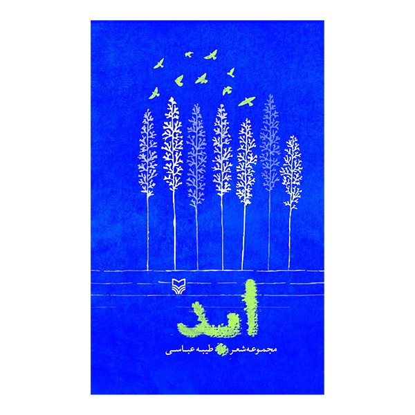 کتاب ابد اثر طیبه عباسی انتشارات سوره مهر کتاب ابد اثر طیبه عباسی انتشارات سوره مهر