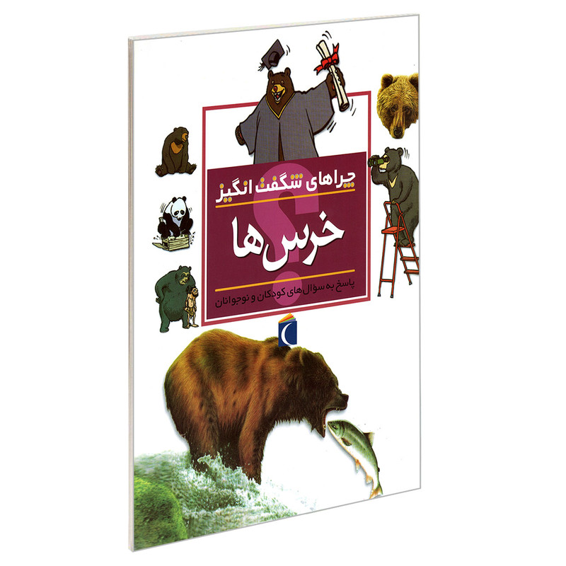 کتاب چراهای شگفت انگیز خرس ها اثر باربارا تیلور نشر محراب قلم