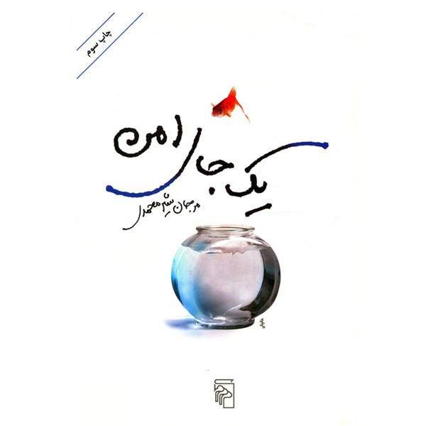 کتاب یک جای امن اثر مرجان شیرمحمدی کتاب یک جای امن اثر مرجان شیرمحمدی