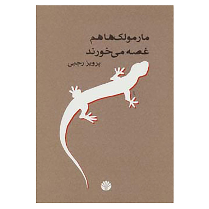 کتاب مارمولک ها هم غصه می خورند اثر پرویز رجبی
