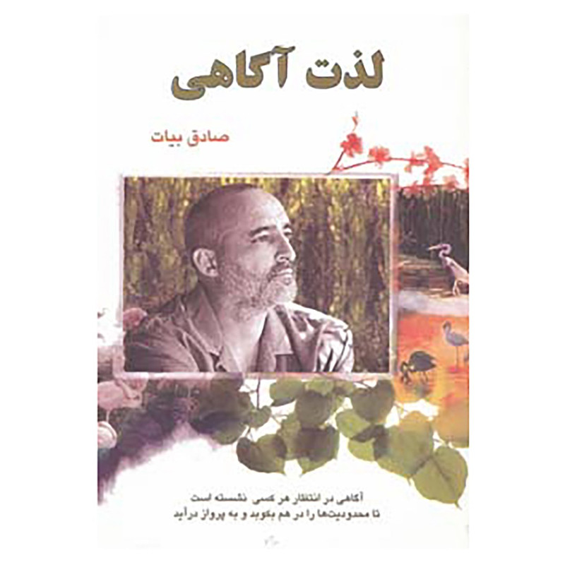 کتاب لذت اگاهی اثر صادق بیات