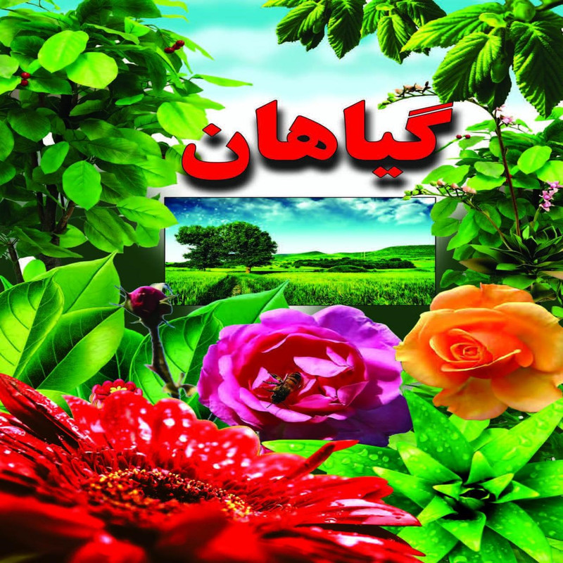 کتاب گیاهان اثر علی ذوالفقاری