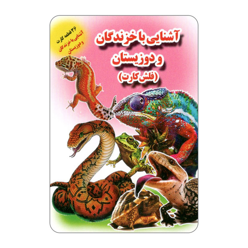 فلش کارت آشنایی با خزندگان و دوزیستان انتشارات جواهری فلش کارت آشنایی با خزندگان و دوزیستان انتشارات جواهری