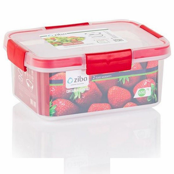 ظرف نگهدارنده زیبا مدل گاپانا کد 650ML