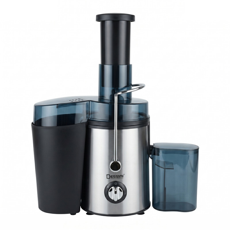 آبمیوه گیری 1400 وات دسینی مدل  ds599