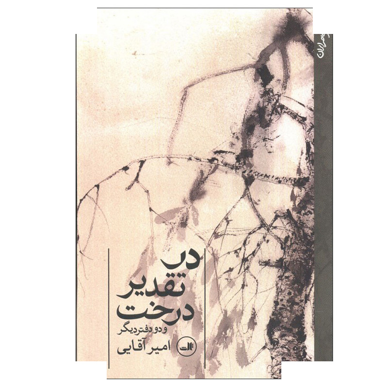 کتاب در تقدیر درخت اثر امیر آقایی نشر ثالث کتاب در تقدیر درخت اثر امیر آقایی نشر ثالث