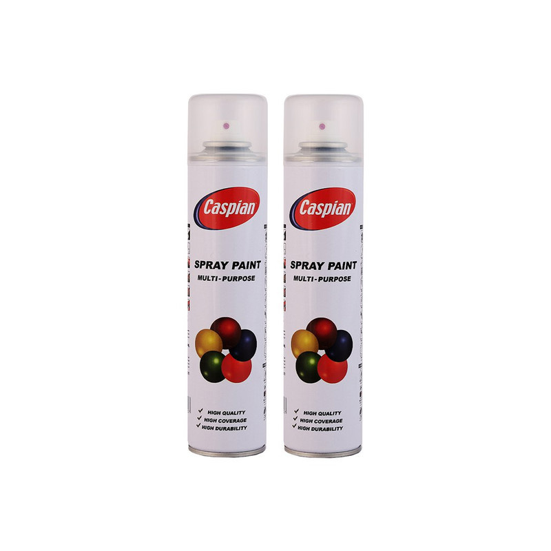 اسپری کیلر کاسپین مدل Professional حجم 300 میلی لیتر مجموعه 2 عددی