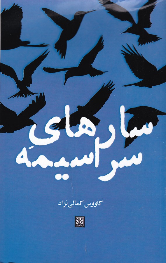 کتاب سال های سراسیمه نشر پاتیزه