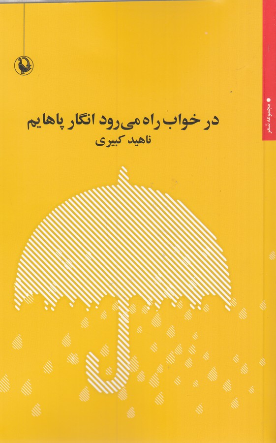 کتاب در خواب راه می رود انگار پاهایم نشر مروارید
