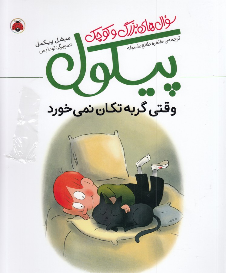 کتاب سوال های بزرگ و کوچک پیکول- وقتی گربه تکان نمی خورد نشر شهر قلم