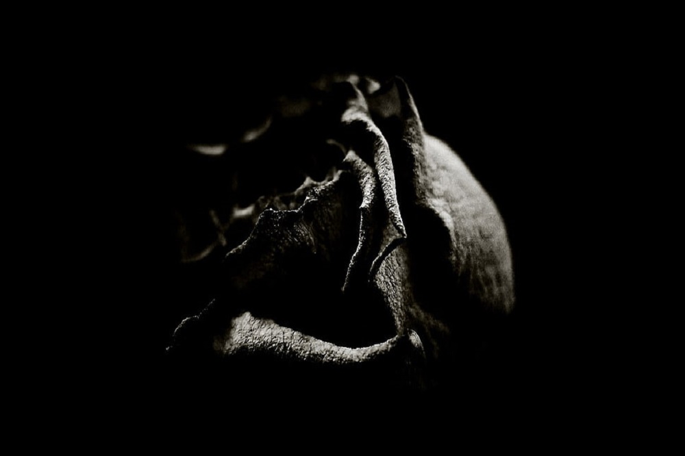 نمونه عکس monochrome اکسپریا xz2 premium