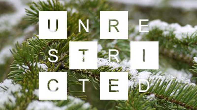 Unrestricted Stock