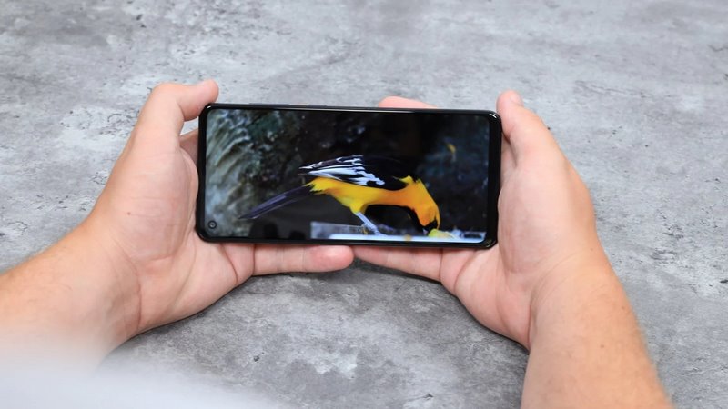 مقایسه A31 با A21s از نظر صفحه نمایش