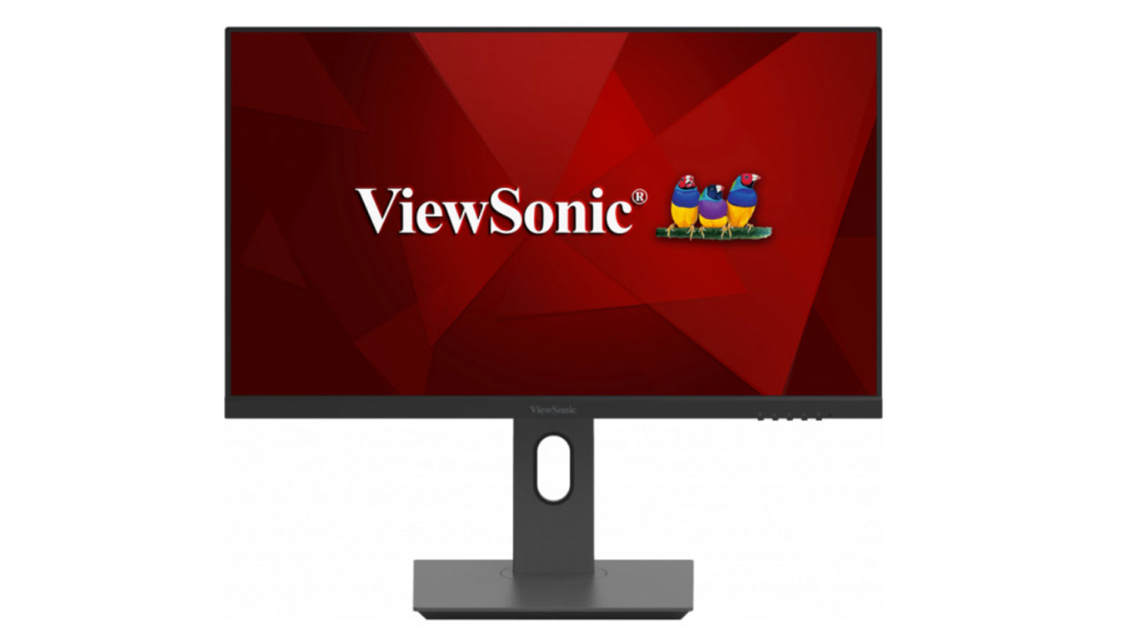 نسل جدید مانیتورهای ViewSonic با وضوح 2K و 4K معرفی شدند