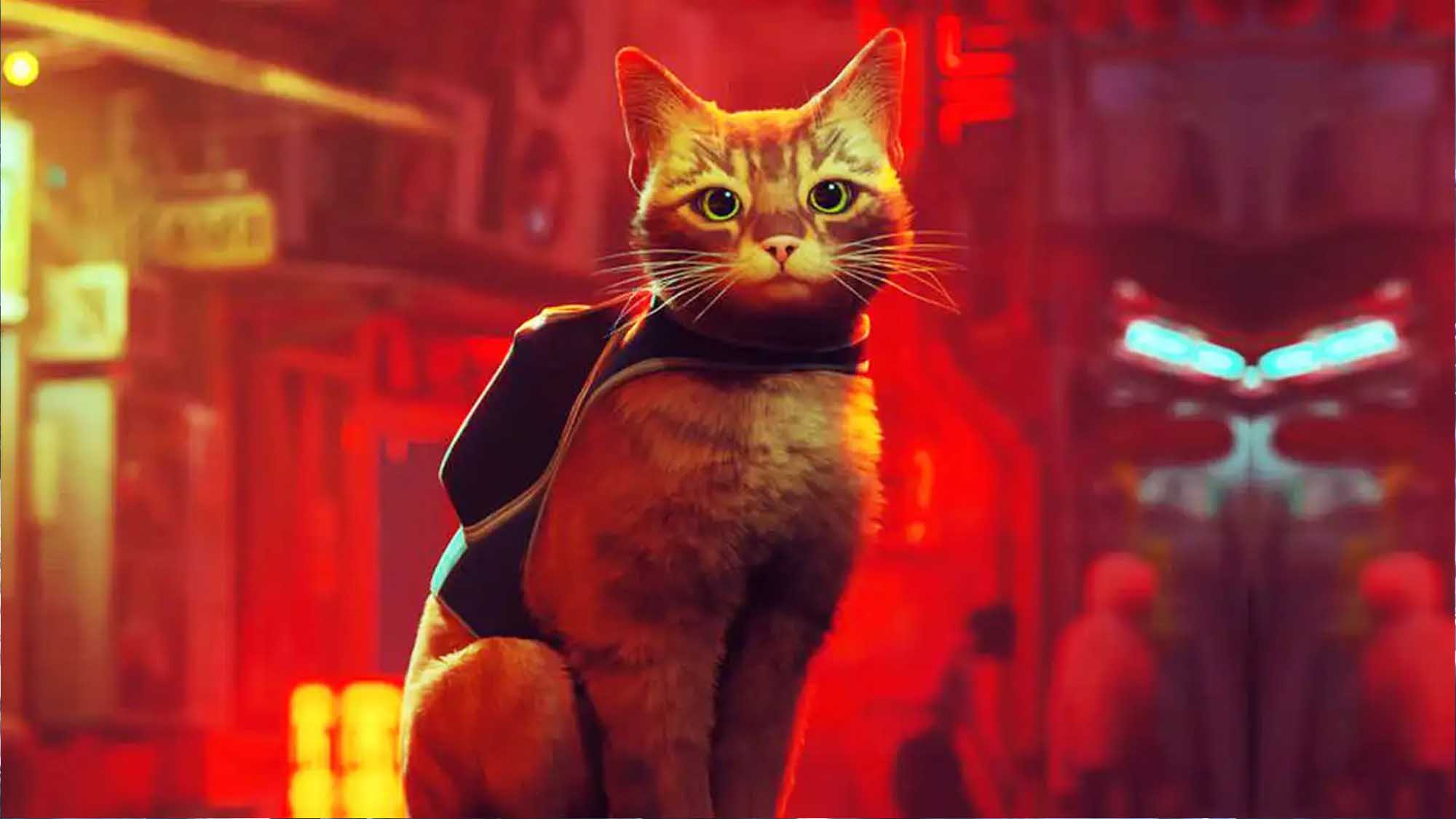 بازی Stray