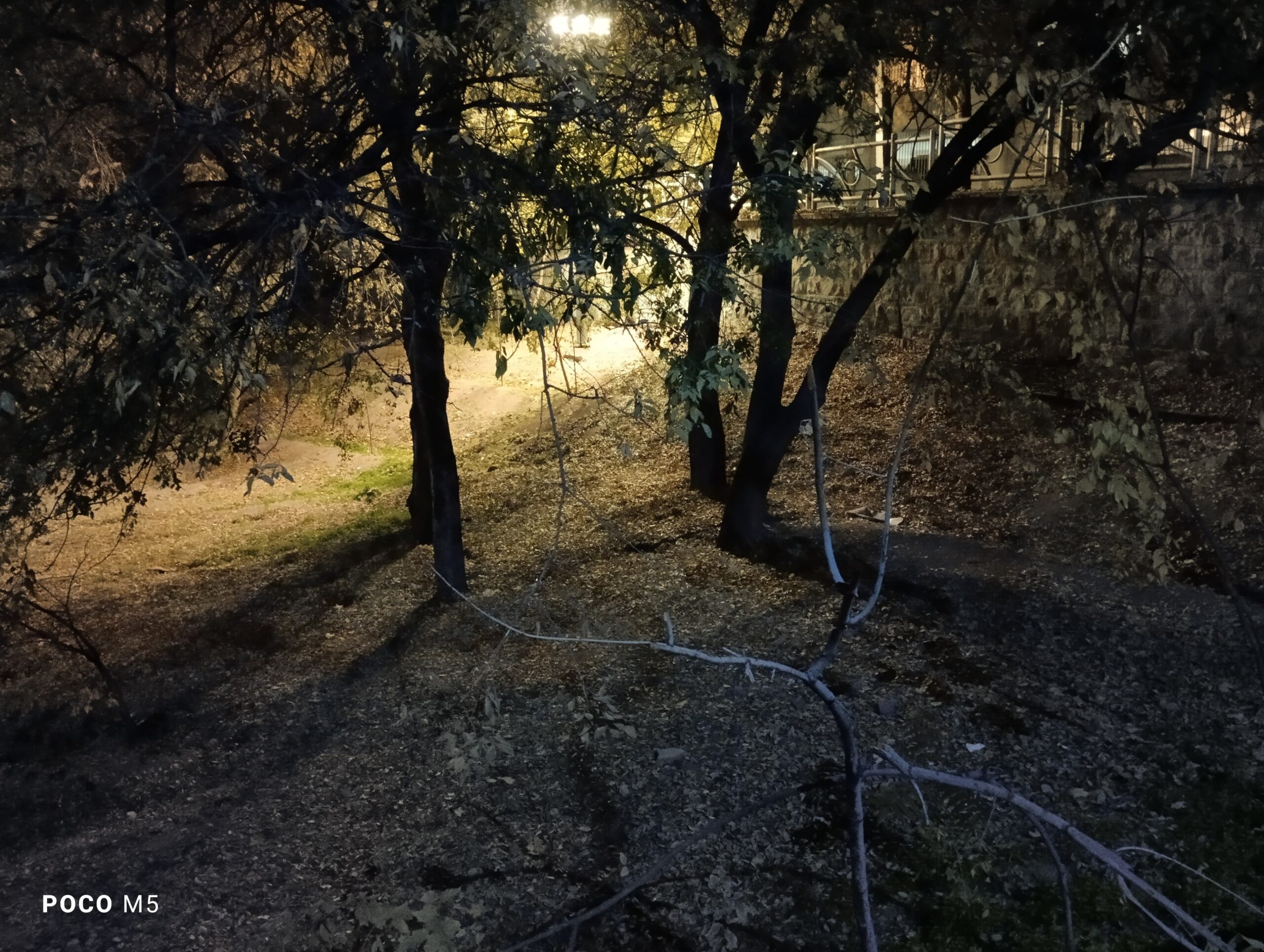Poco M5 Nigh mode Off Camera Sample