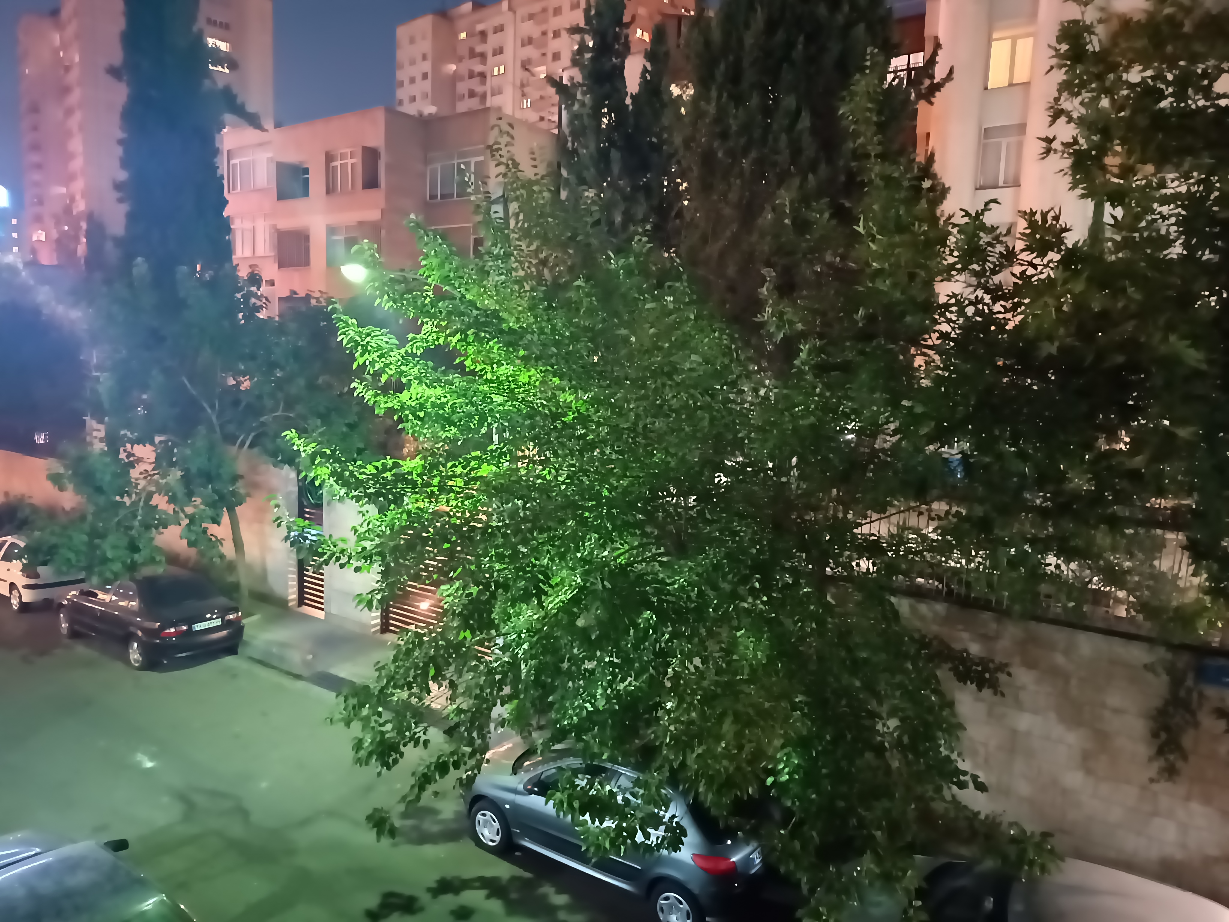 نمونه عکس شب با گوشی داریا همراه
