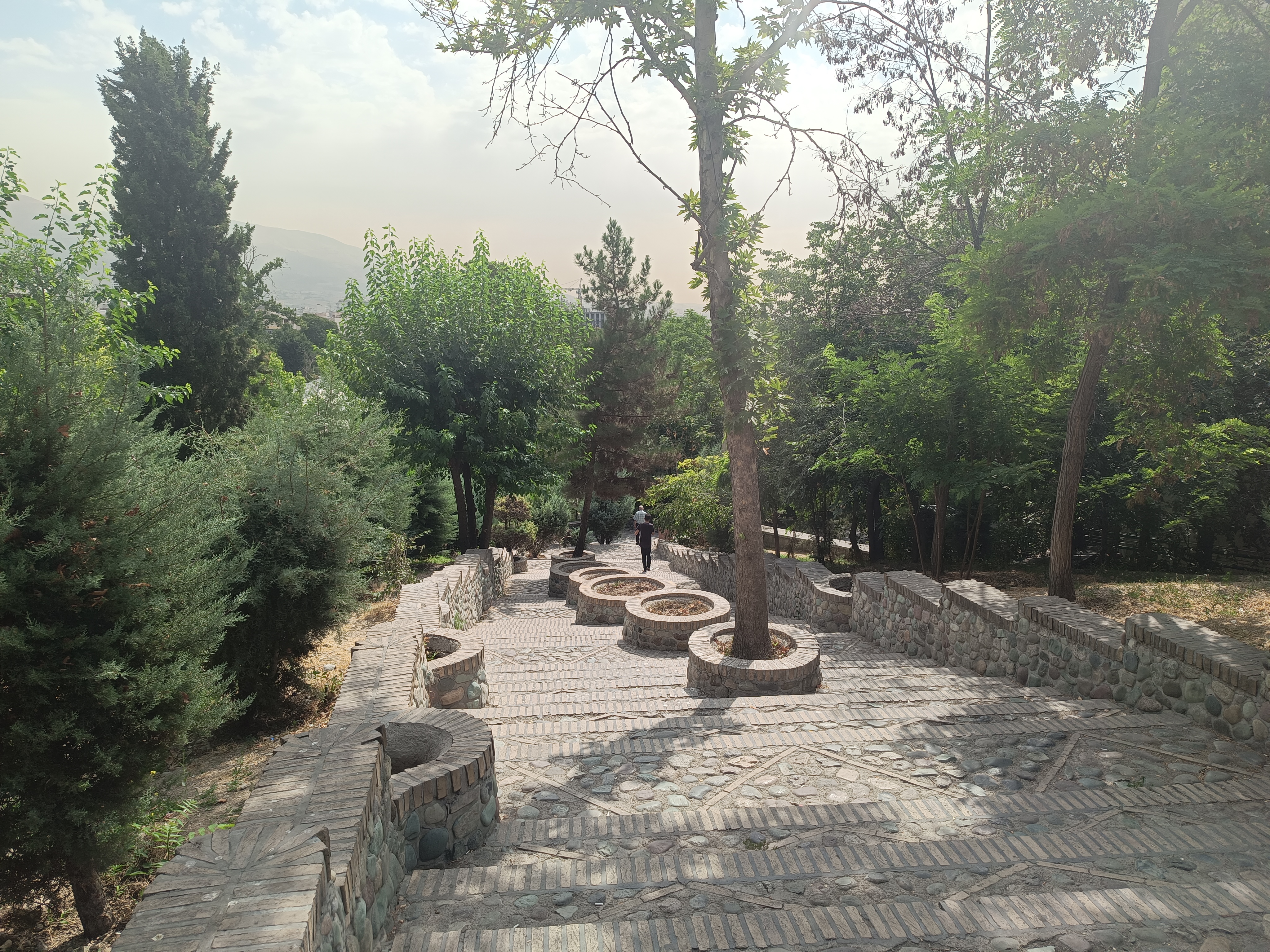 نمونه عکس دوربین گوشی داریا