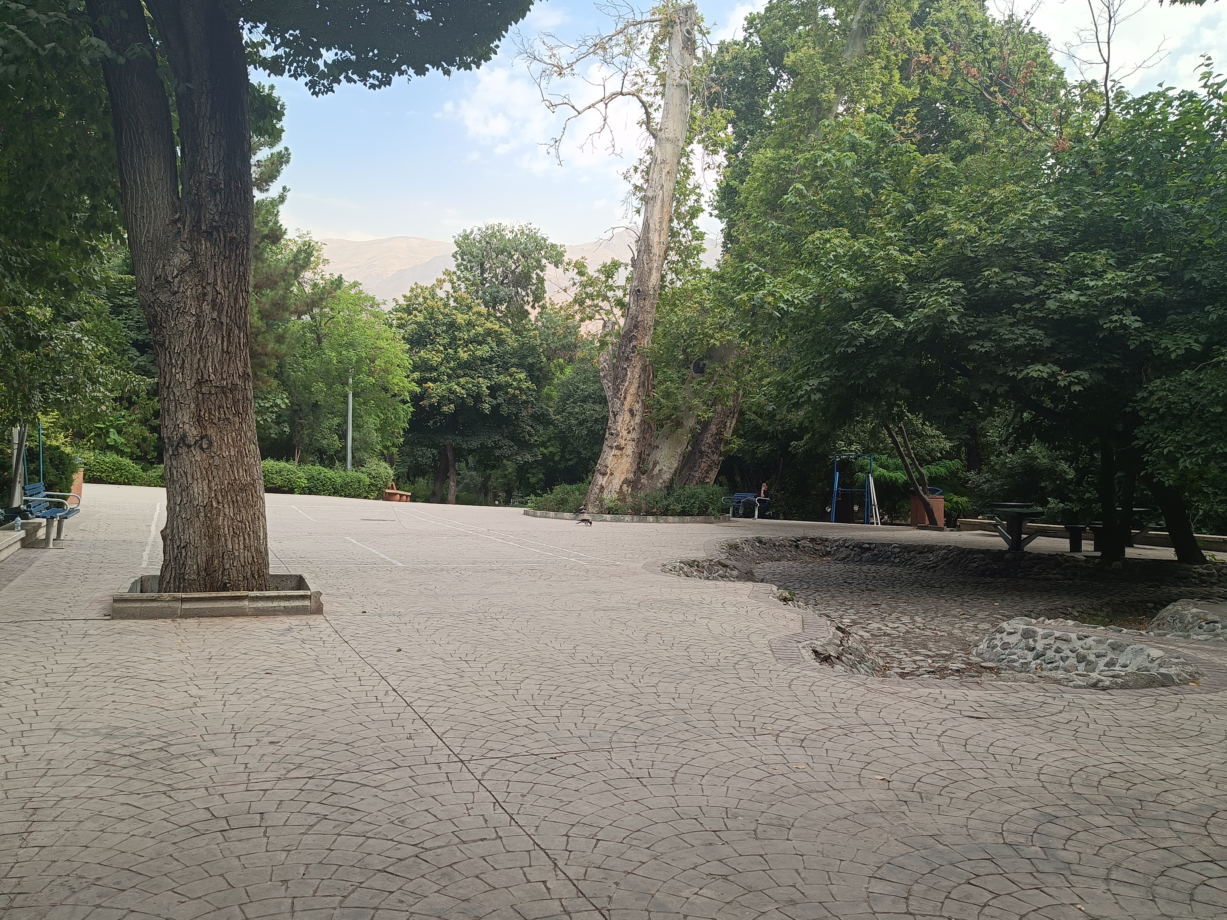 نمونه عکس دوربین گوشی داریا