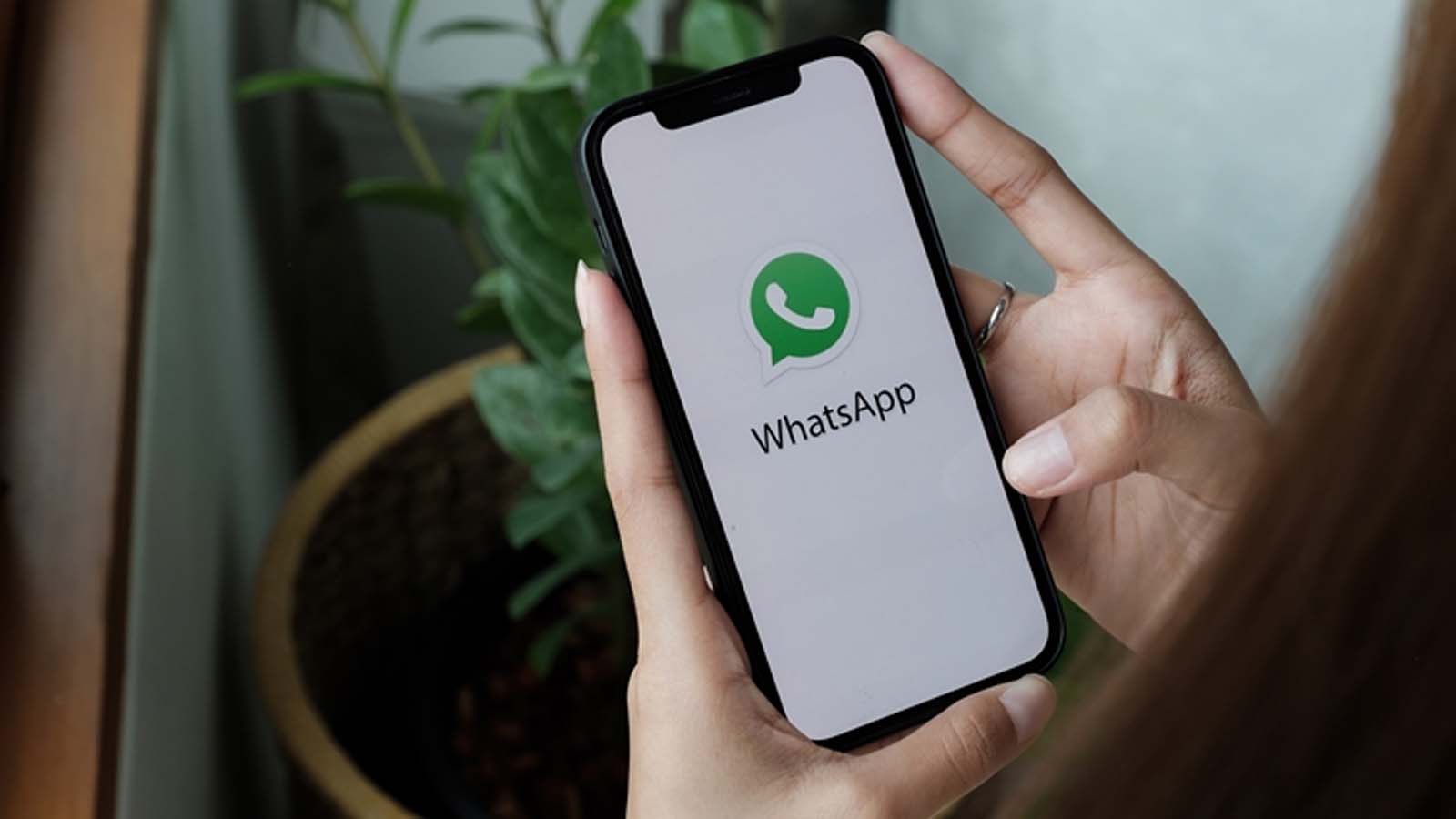 واتسپ برای iOS امکان ارسال عکس‌ و فیلم‌های غیرفشرده را ایجاد کرد