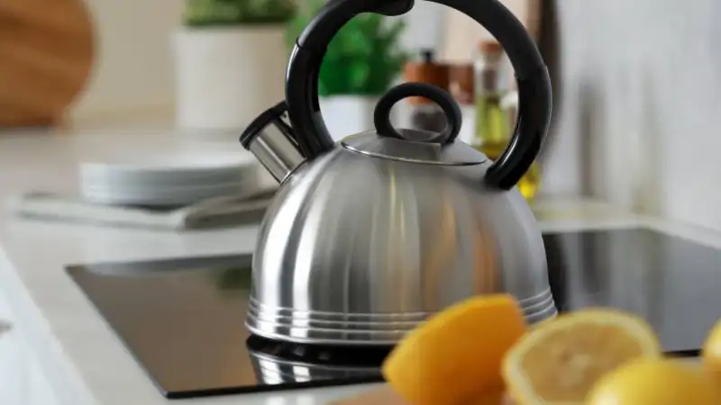 جرم گیری داخل کتری استیل 